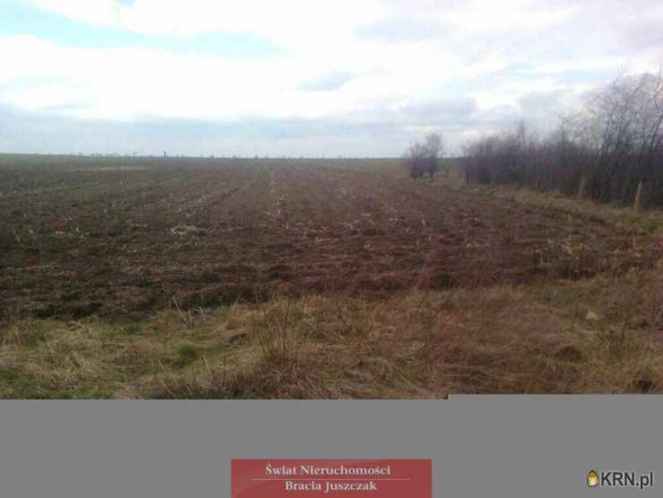 Działki  na sprzedaż, Osiek, ul. , 