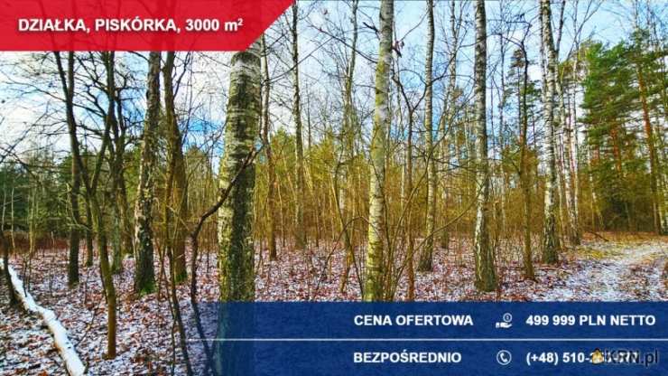 , Działki  na sprzedaż, Piskórka, ul. Jagodowa