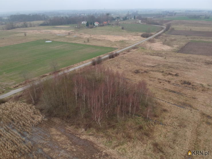 Działki  na sprzedaż, Rogity, ul. , 