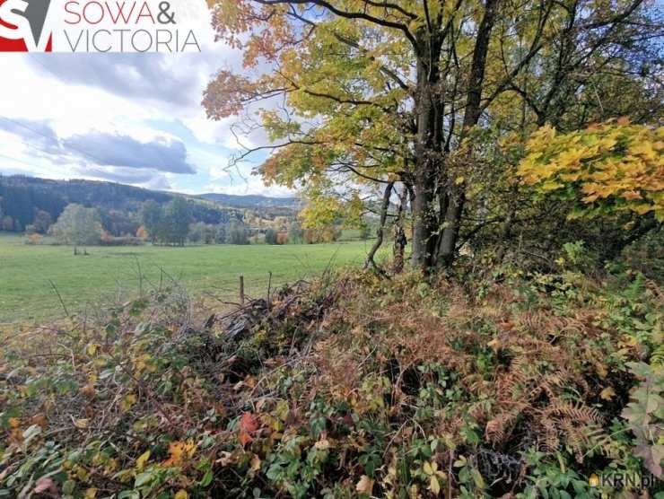 Działki  na sprzedaż, Sierpnica, ul. , 