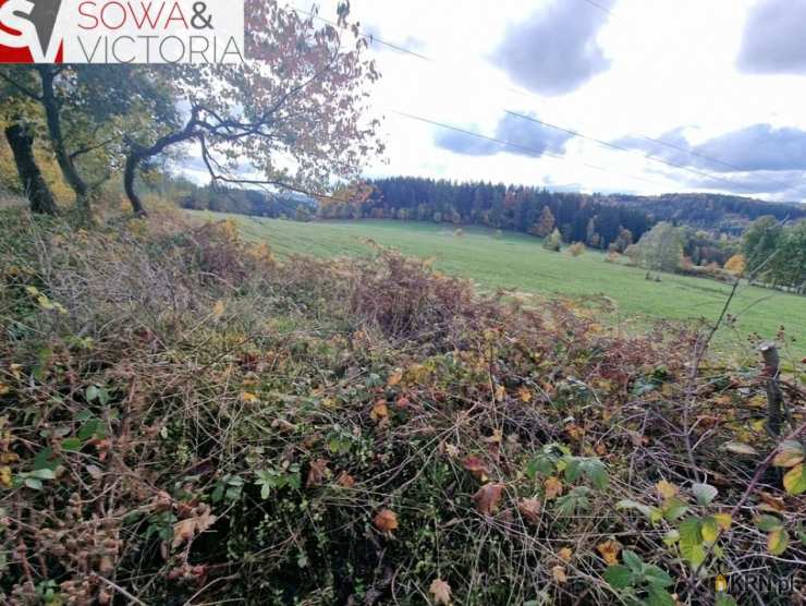 Sierpnica, ul. , , Działki  na sprzedaż