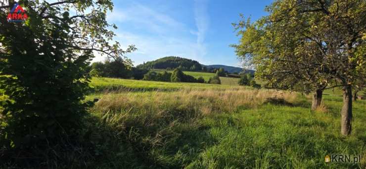 Działki  na sprzedaż, Skrzydlna, ul. , 