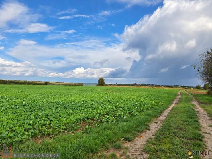 Działki  na sprzedaż, , Smardzowice, ul. 
