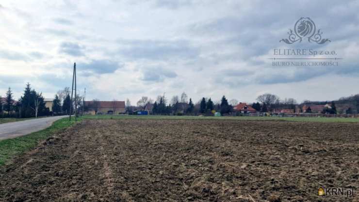 Działki  na sprzedaż, Sokolniki, ul. , 