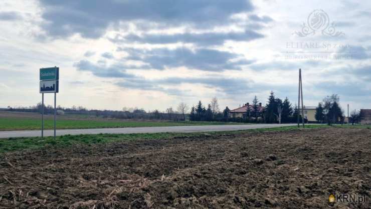 Elitare Sp. z o.o.   , Działki  na sprzedaż, Sokolniki, ul. 