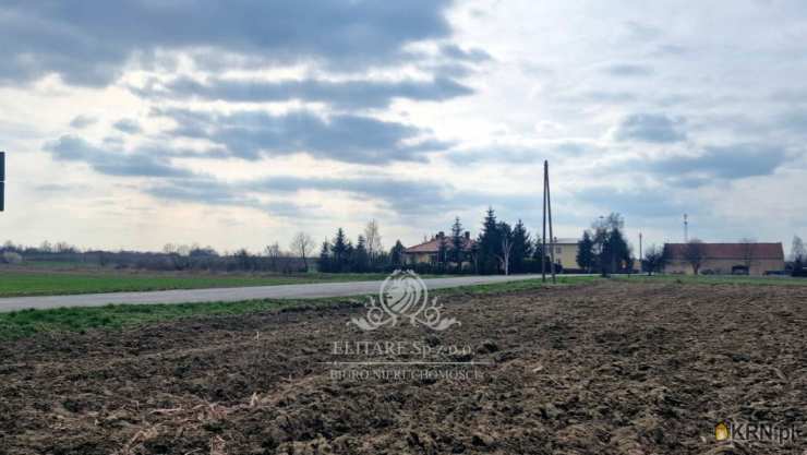 , Działki  na sprzedaż, Sokolniki, ul. 