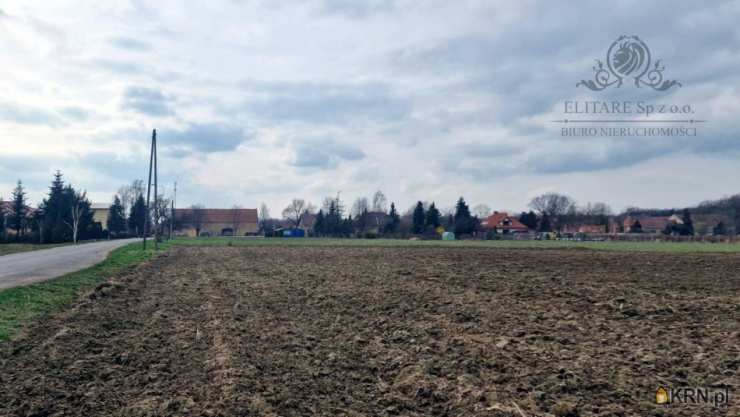 Działki  na sprzedaż, Sokolniki, ul. , 