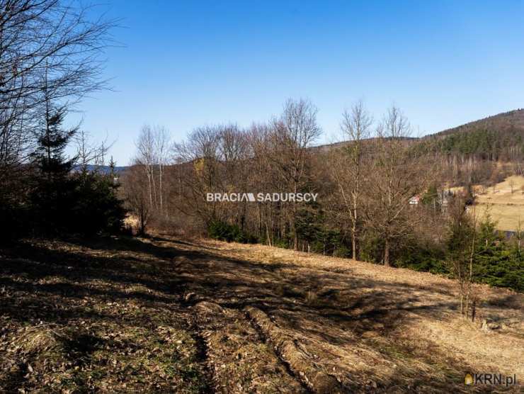 Bracia Sadurscy Oddział BS3 Przewóz, Działki  na sprzedaż, Stróża, ul. 