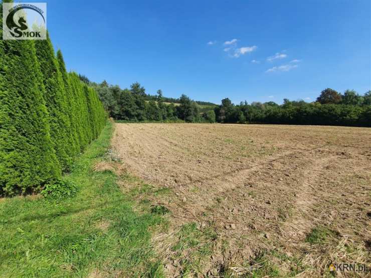 Działki  na sprzedaż, Sułkowice, ul. , 