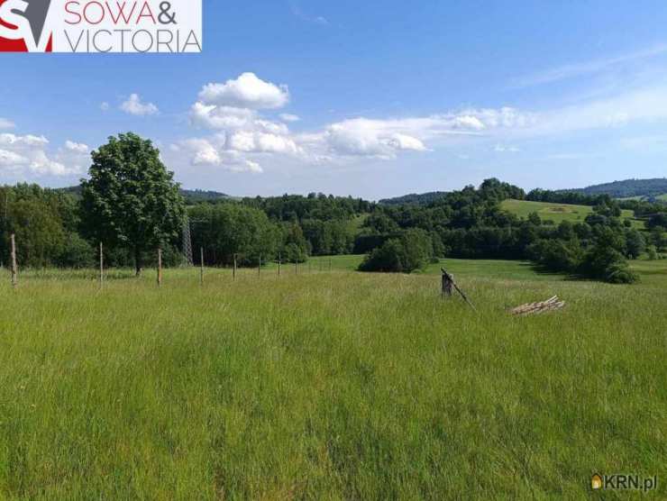 , Działki  na sprzedaż, Walim, ul. 