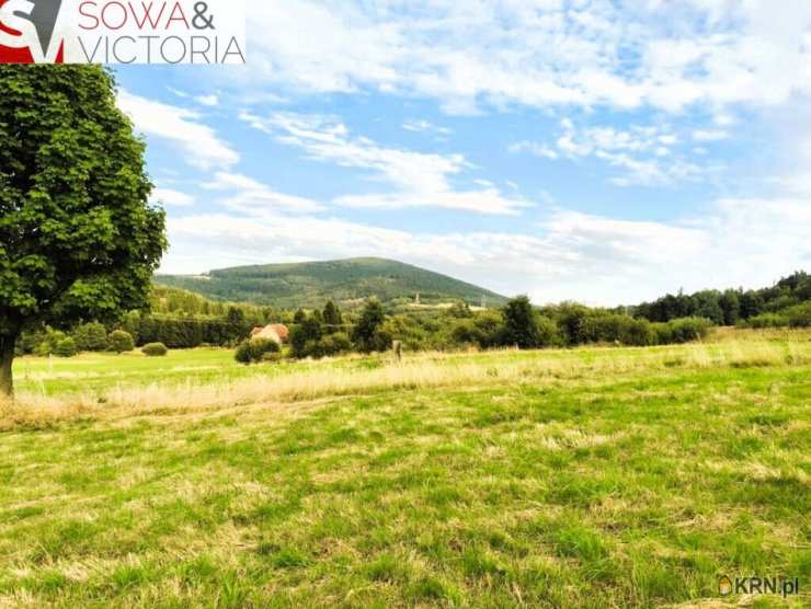 Działki  na sprzedaż, Walim, ul. , 