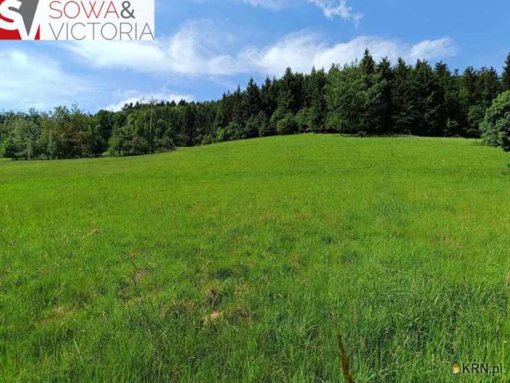 Biuro Nieruchomości SOWA, Działki  na sprzedaż, Walim, ul. 