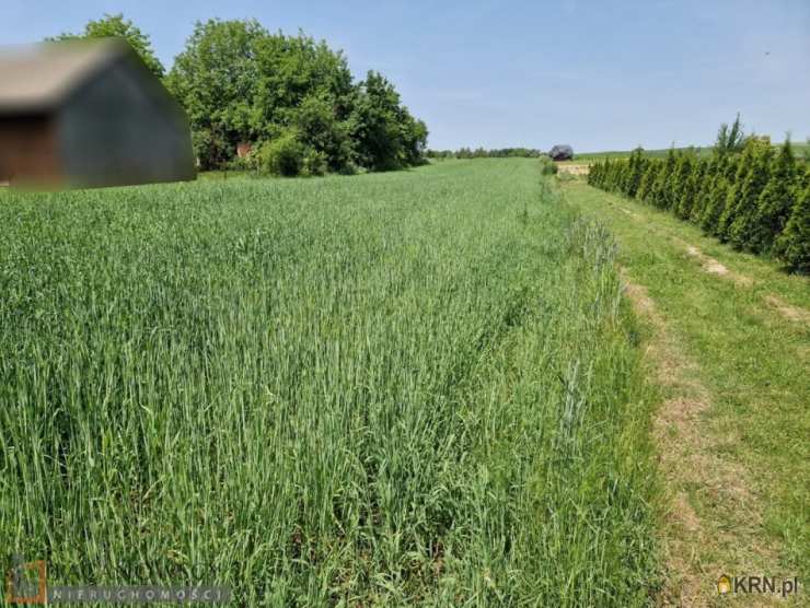 Działki  na sprzedaż, , Wola Więcławska, ul. 