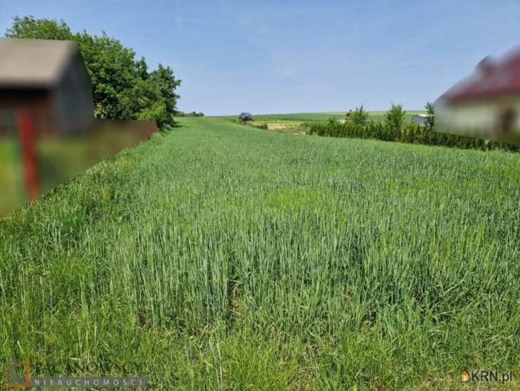 Wola Więcławska, ul. , Działki  na sprzedaż, 