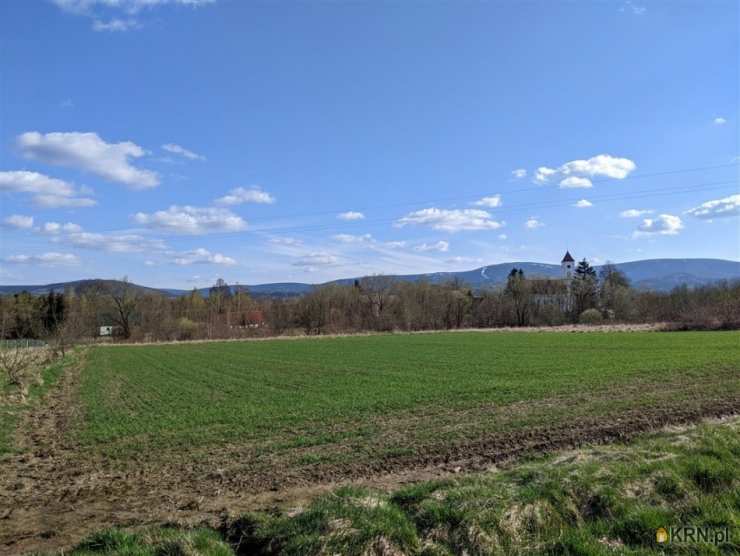 Działki  na sprzedaż, Wolimierz, ul. , 