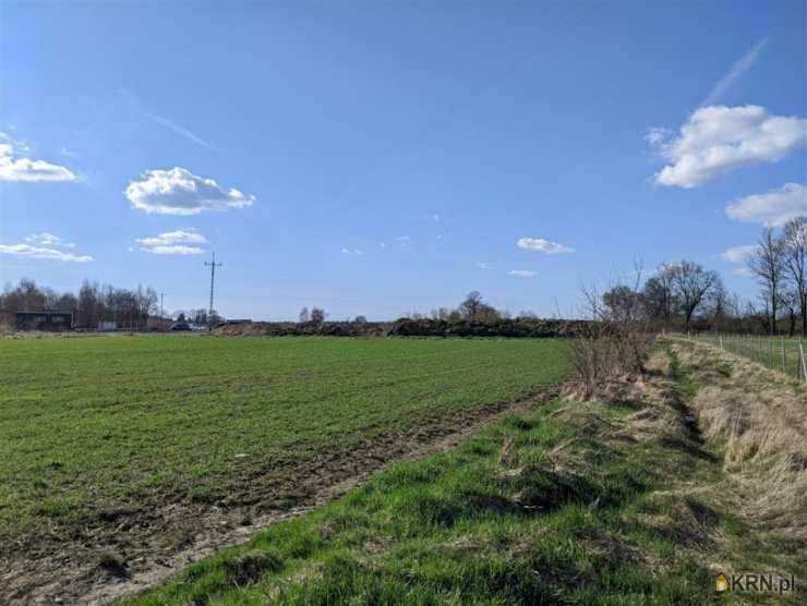 Działki  na sprzedaż, , Wolimierz, ul. 