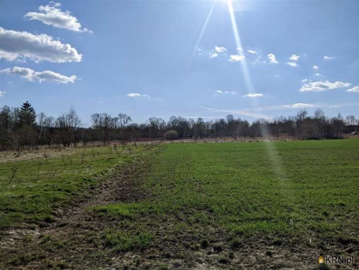 Wolimierz, ul. , Działki  na sprzedaż, 