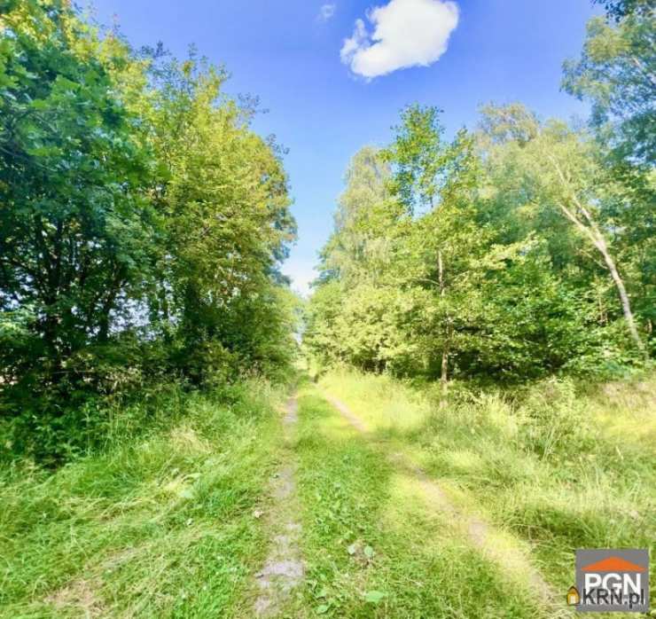 Działki  na sprzedaż, , Gostyniec, ul. 