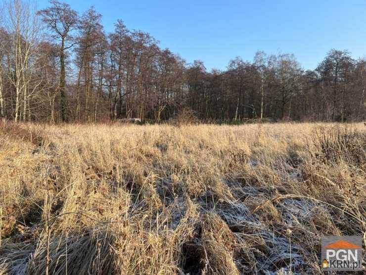 , Kamień Pomorski, ul. F. Chopina, Działki  na sprzedaż