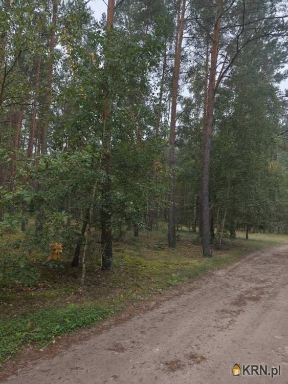 Słończ, ul. , Działki  na sprzedaż, 