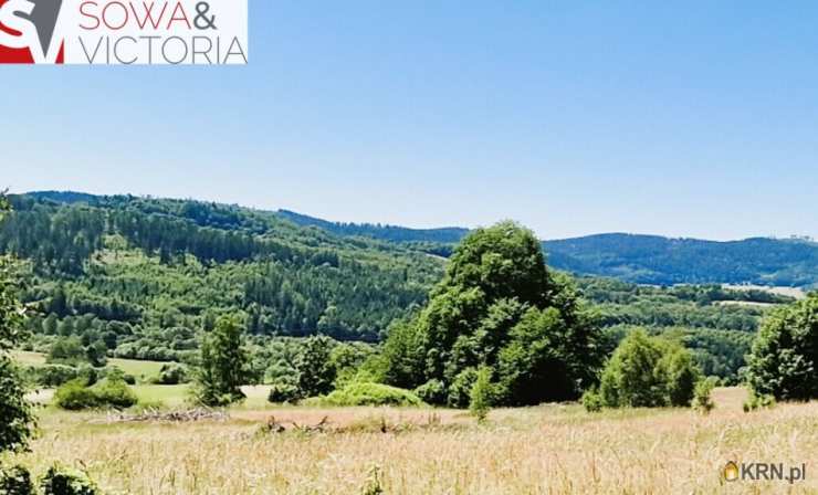 Działki  na sprzedaż, Kolce, ul. , 