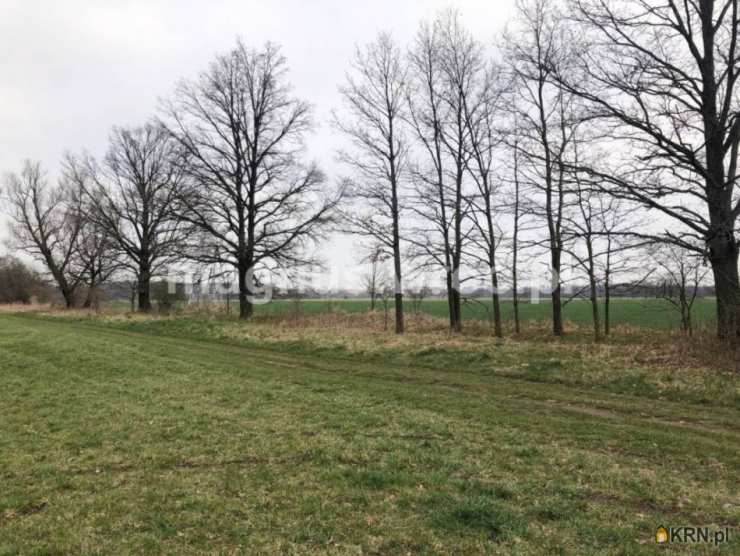 Działki  na sprzedaż, , Świdnica, ul. Częstochowska