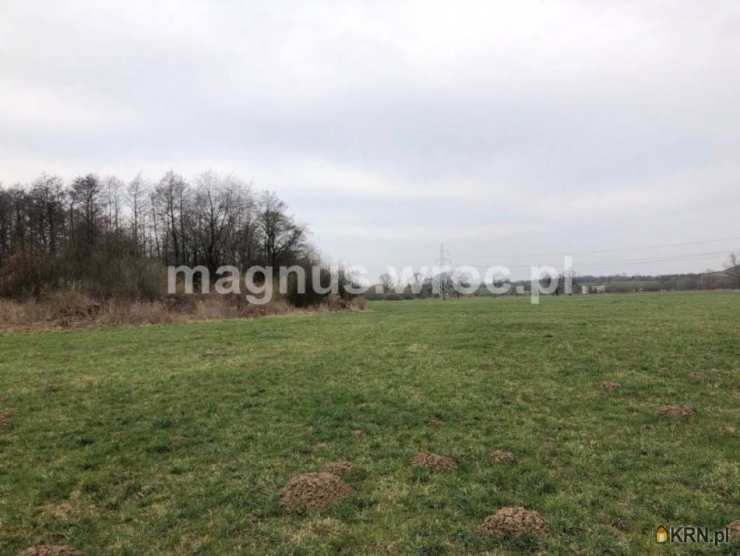 Działki  na sprzedaż, , Świdnica, ul. Częstochowska