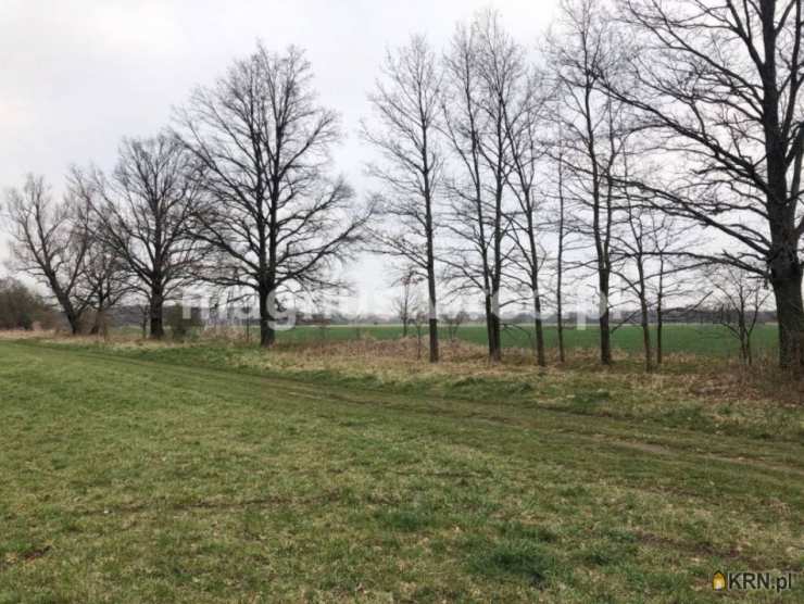 , Świdnica, ul. Częstochowska, Działki  na sprzedaż