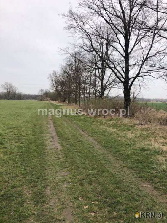 , Działki  na sprzedaż, Świdnica, ul. Częstochowska