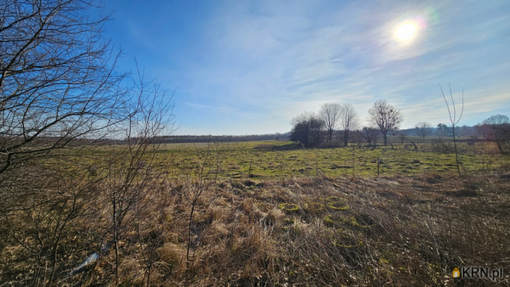 Działki  na sprzedaż, , Swędkowo, ul. 