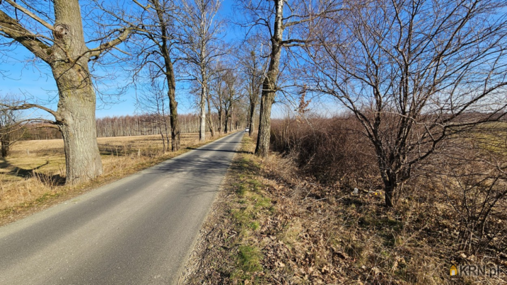 Swędkowo, ul. , , Działki  na sprzedaż