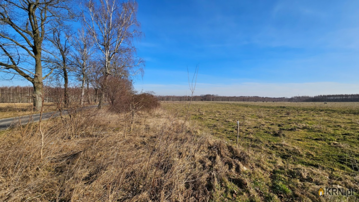 , Działki  na sprzedaż, Swędkowo, ul. 