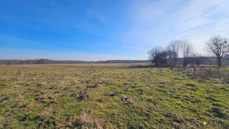 Szulc & Szulc Nieruchomośc, Działki  na sprzedaż, Swędkowo, ul. 