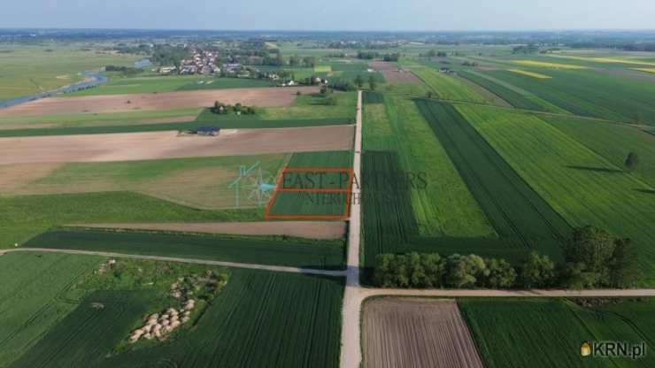 Złotoria, ul. , Działki  na sprzedaż, 