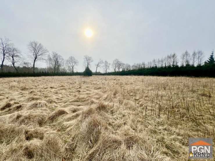 Działki  na sprzedaż, , Gostyniec, ul. 