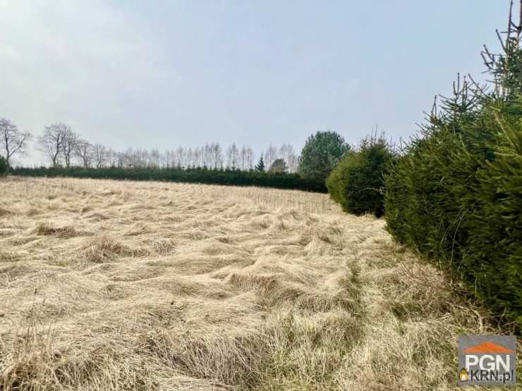 , Gostyniec, ul. , Działki  na sprzedaż