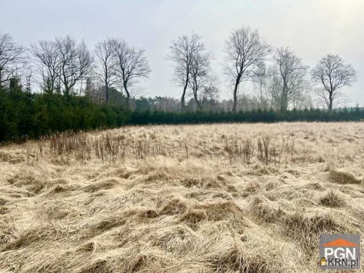 , Działki  na sprzedaż, Gostyniec, ul. 