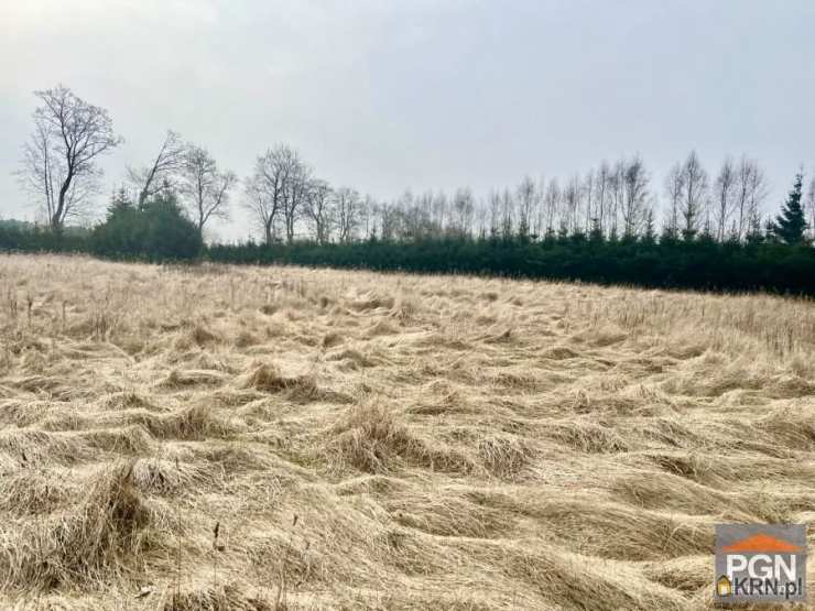 Pomorska Giełda Nieruchomości, Działki  na sprzedaż, Gostyniec, ul. 