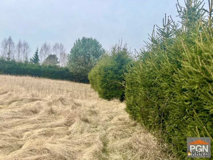 Działki  na sprzedaż, Gostyniec, ul. , 