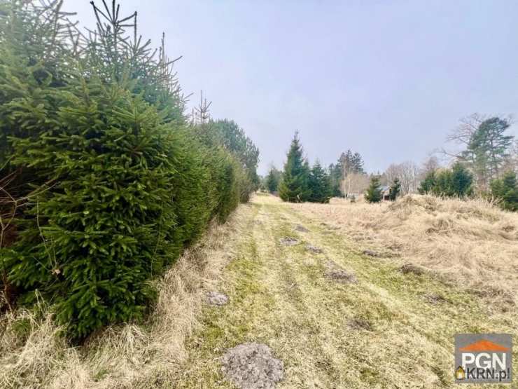 Gostyniec, ul. , Działki  na sprzedaż, 