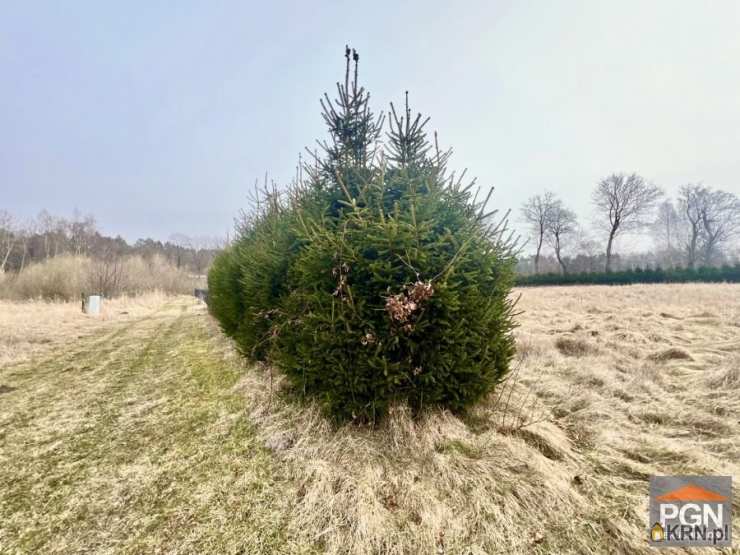 Gostyniec, ul. , , Działki  na sprzedaż