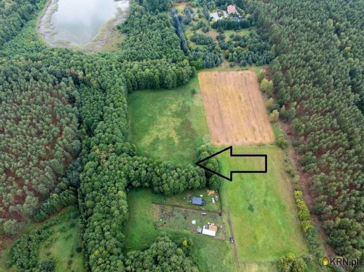 Działki  na sprzedaż, , Pąchy, ul. 