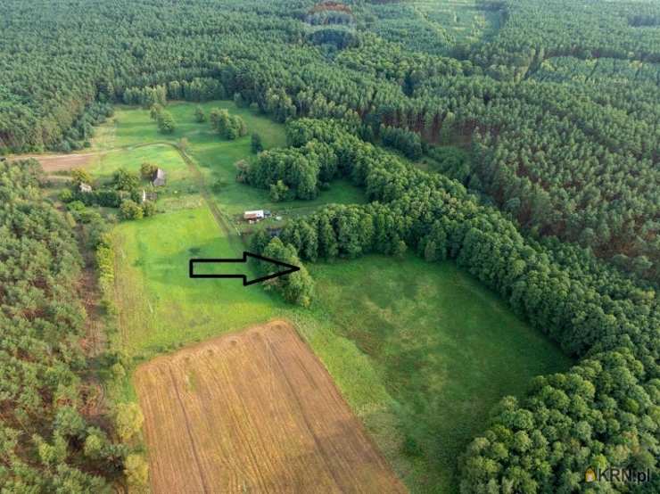 , Działki  na sprzedaż, Pąchy, ul. 