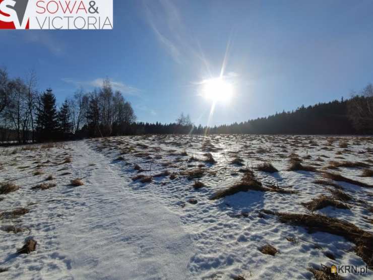 Bartnica, ul. , Działki  na sprzedaż, 