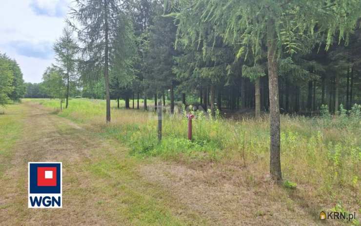 Działki  na sprzedaż, Rydzów, ul. , 