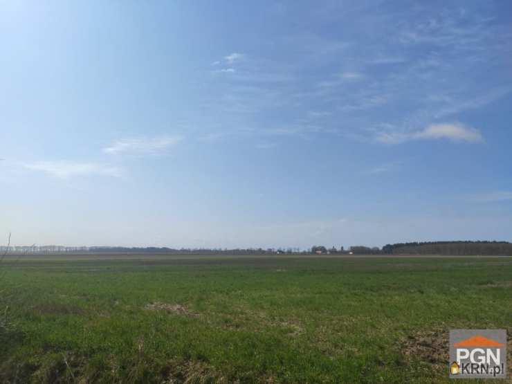 Strzeżewo, ul. , Działki  na sprzedaż, 
