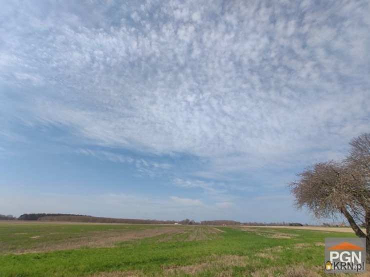Strzeżewo, ul. , , Działki  na sprzedaż