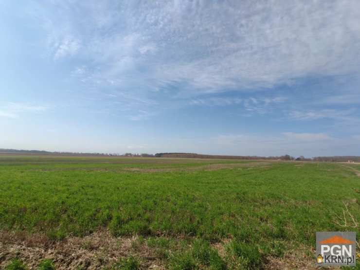 , Strzeżewo, ul. , Działki  na sprzedaż
