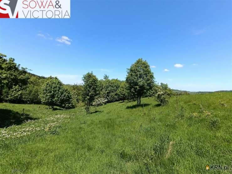 Biuro Nieruchomości SOWA, Działki  na sprzedaż, Walim, ul. 