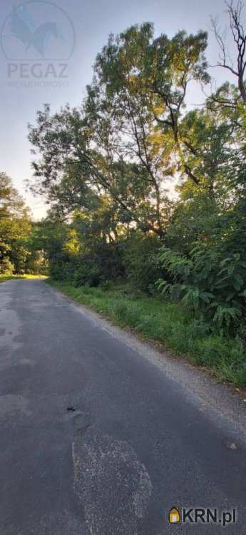Działki  na sprzedaż, , Szumiąca, ul. 
